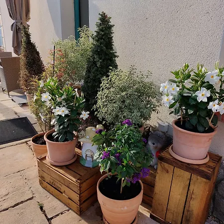 מלון Le Relais De L'abbaye