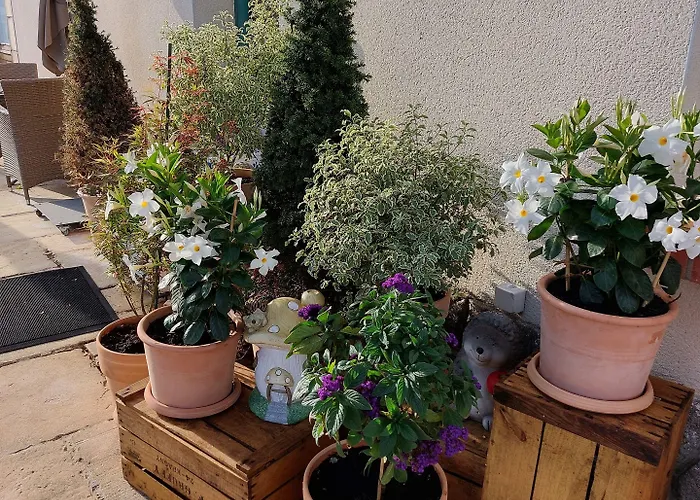 Otel Le Relais De L'abbaye